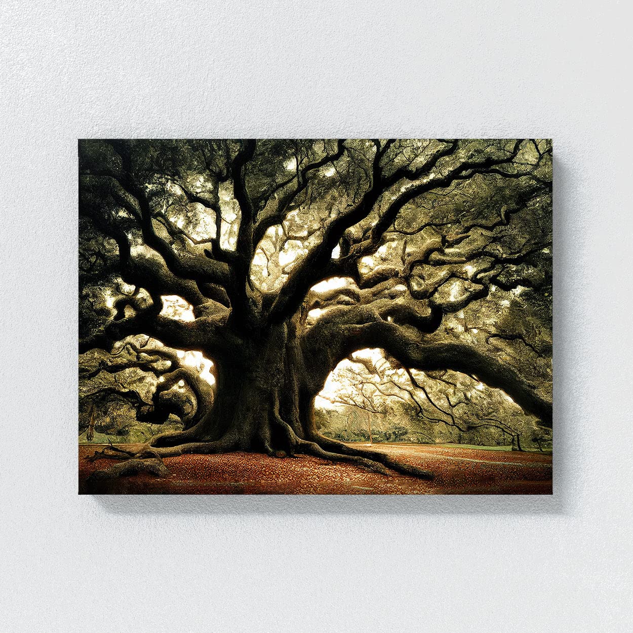 Amazon.com: Sense Canvas Angel Oak Tree 6 Canvas Art - Home Decor